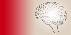 midfullness-javier-carril