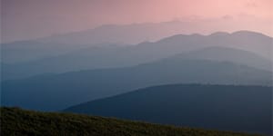 ¿A qué nivel te mueves?