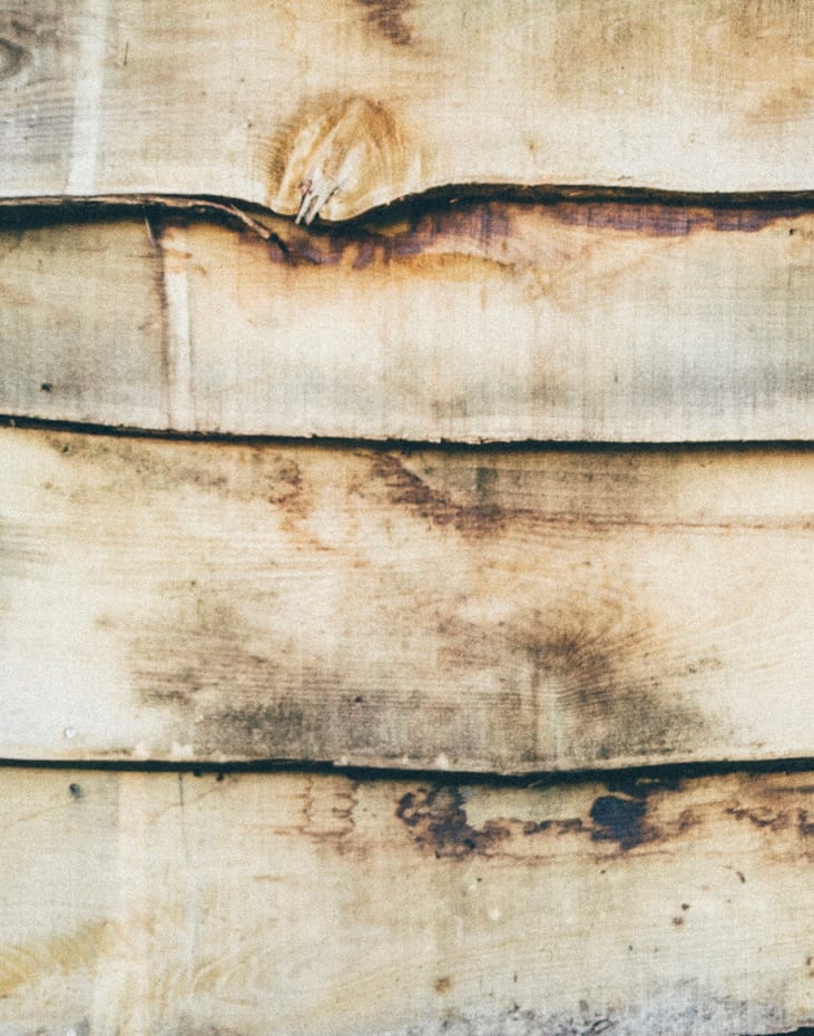 Biohacking, la dieta de los CEO en Silicon Valley | Canal CEO