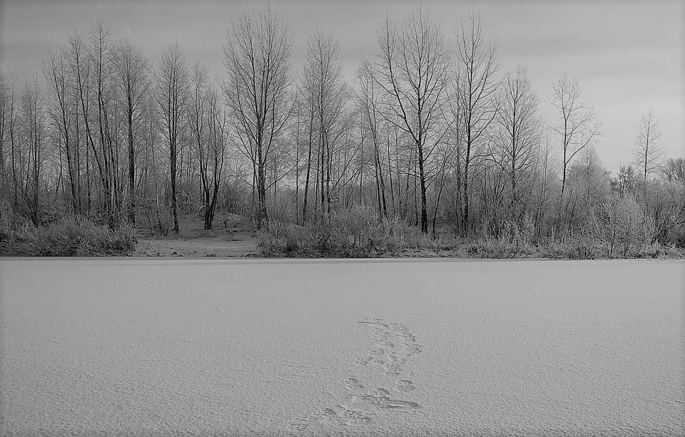 Emprender en Siberia: ¿para qué sirve de verdad un Business Plan?
