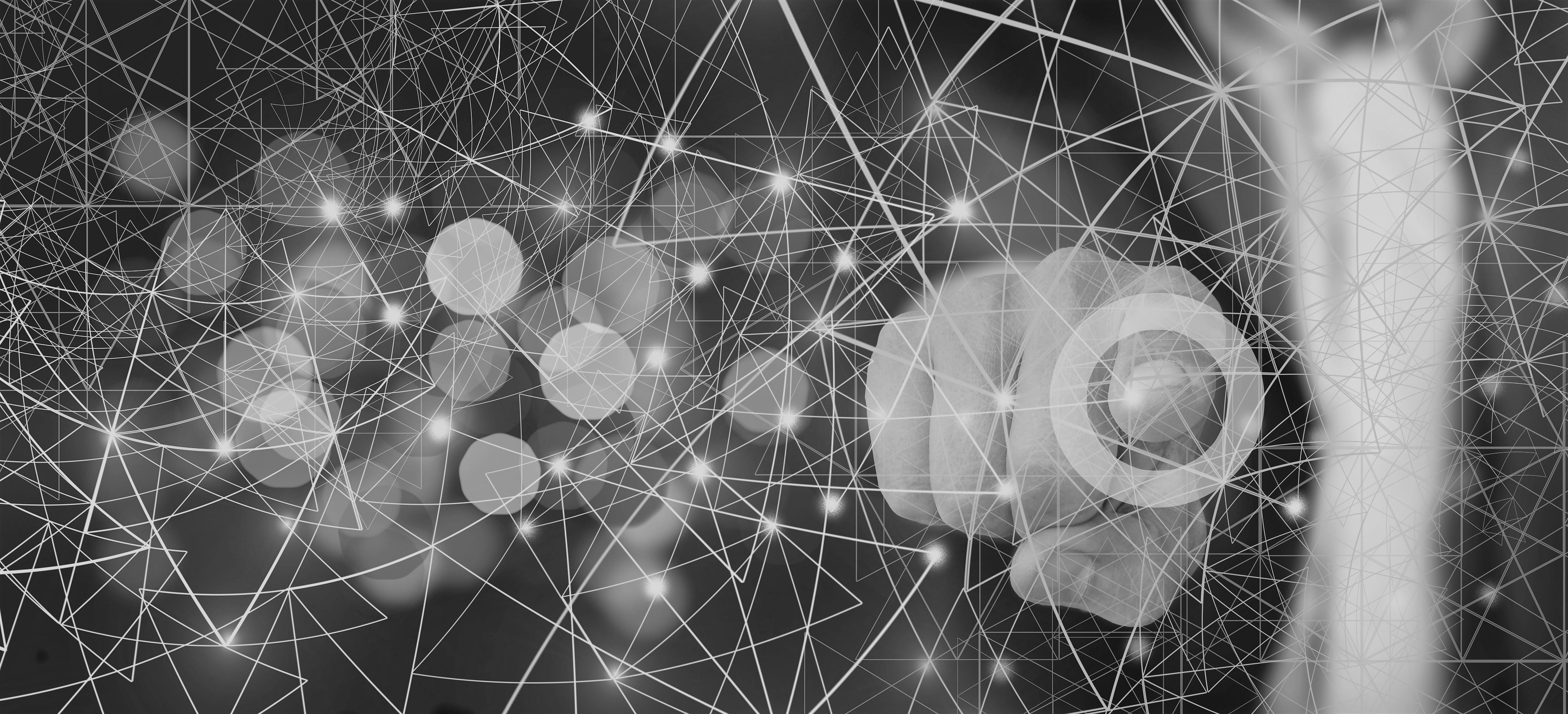 Ebook Canal CEO: Transformación digital: 11 casos de éxito