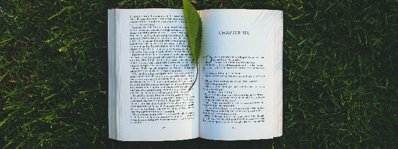 Los 5 libros de empresa imprescindibles para este verano