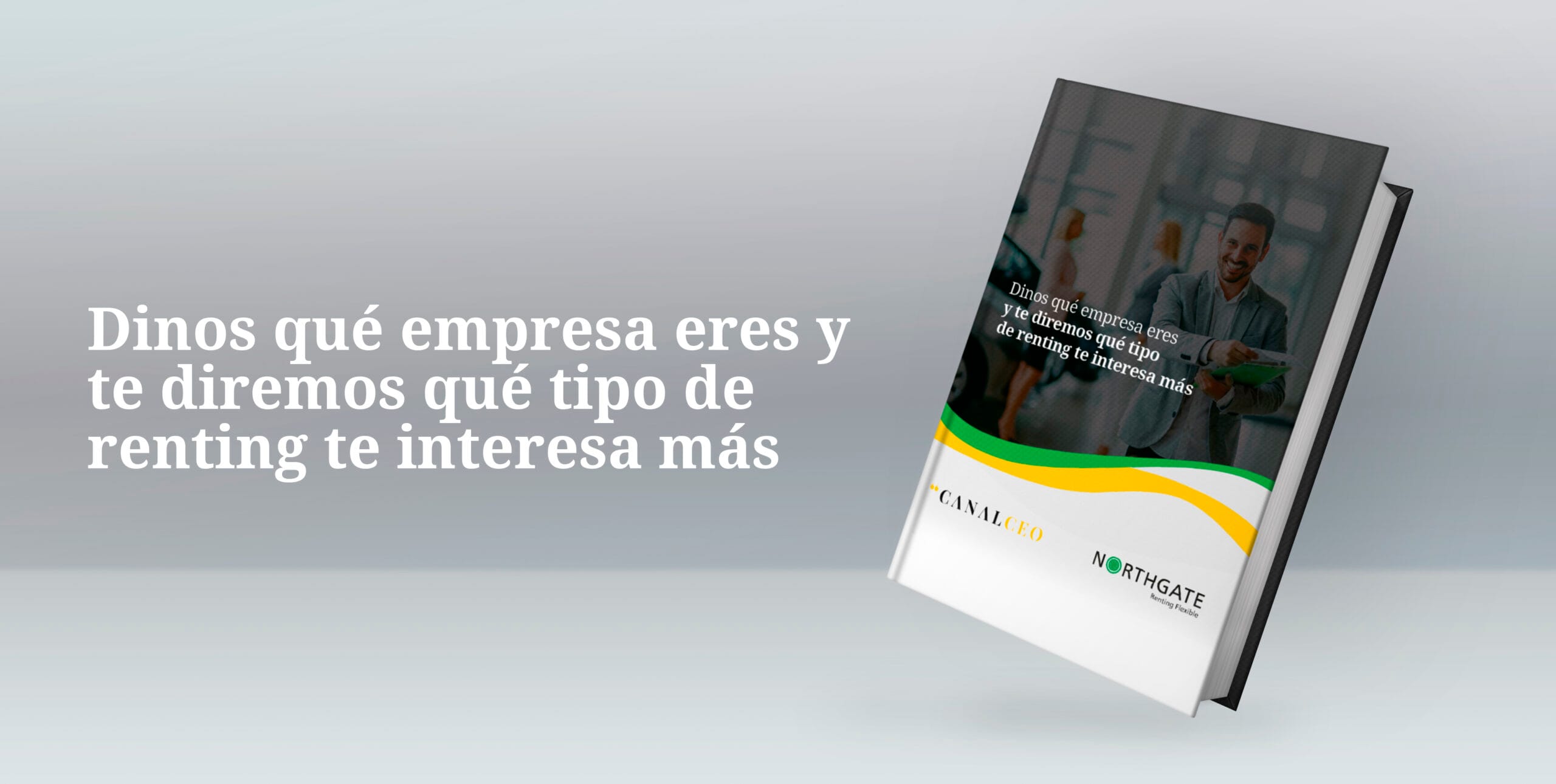 Dinos qué empresa eres y te diremos qué tipo de renting te interesa más