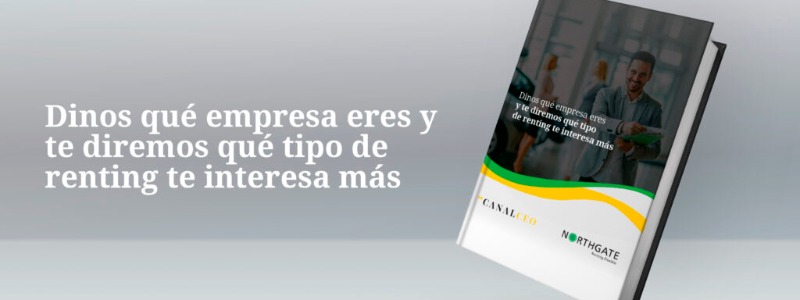 Dinos qué empresa eres y te diremos qué tipo de renting te interesa más