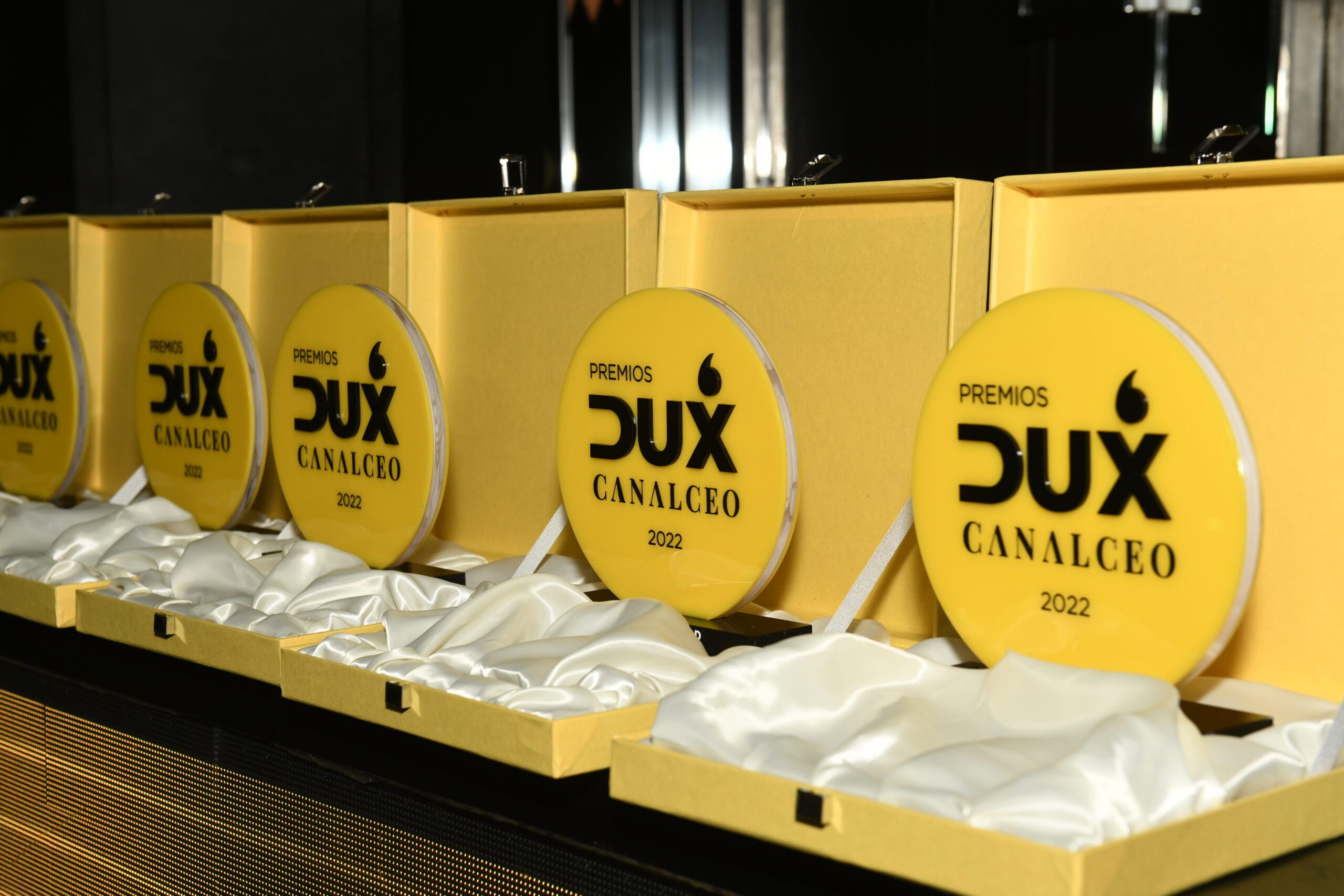 Premios DUX: estos son los primeros ‘Leonardos Empresariales’ de Canal CEO