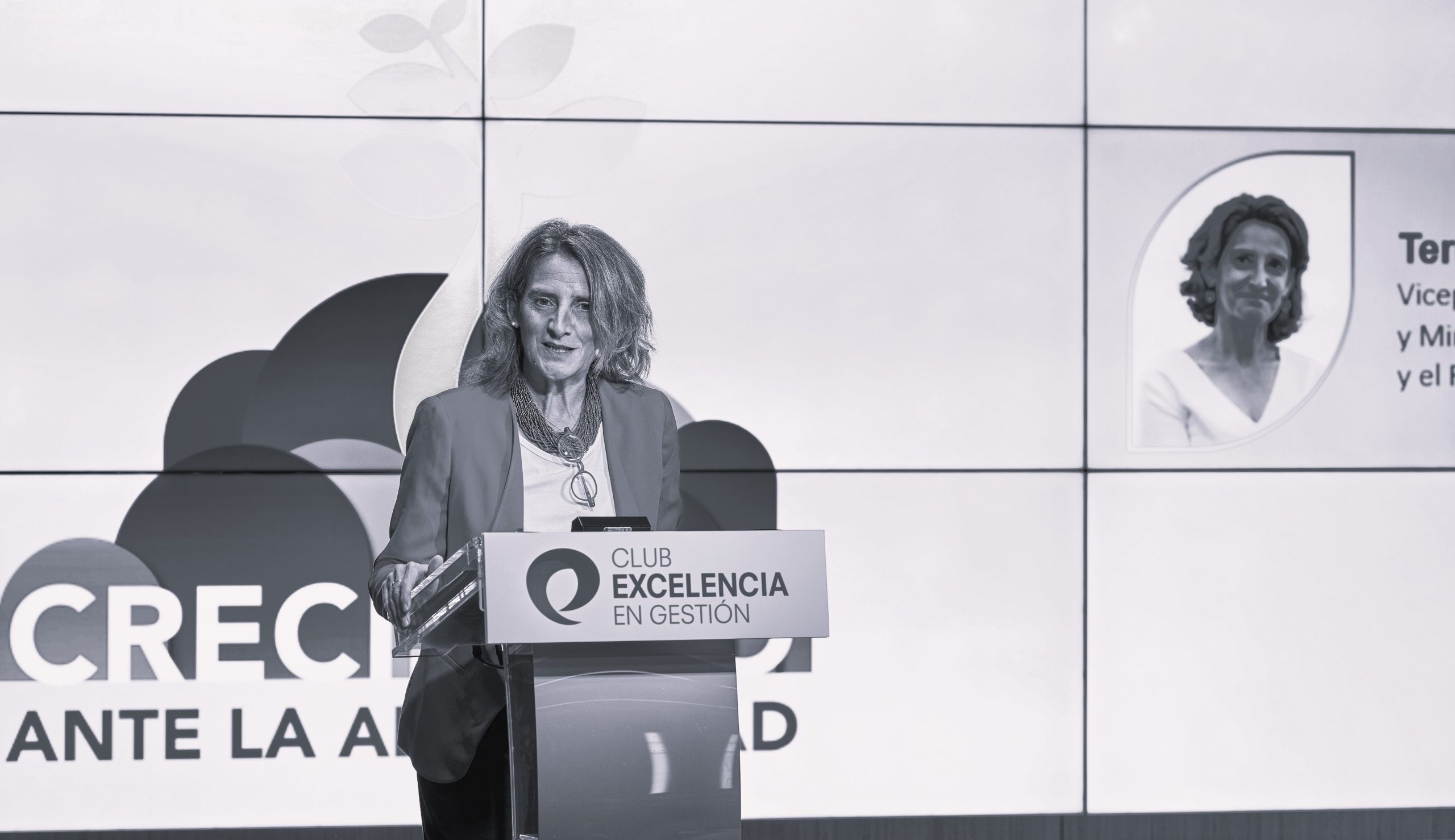Teresa Ribera: “Compartiendo puntos de vista prácticos y reales se pueden detectar dificultades y soluciones”