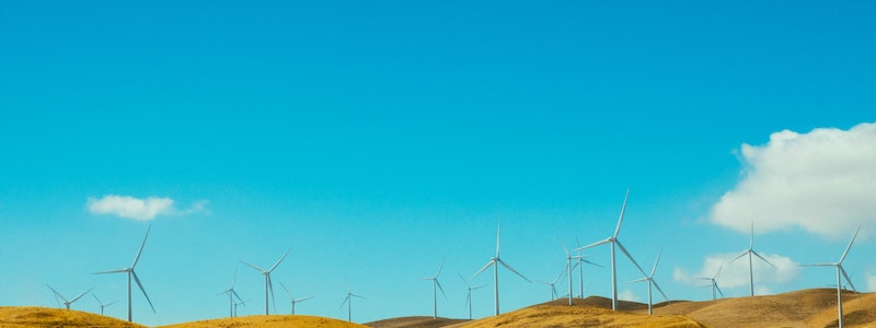 ¿Dónde está la estrategia de sostenibilidad?