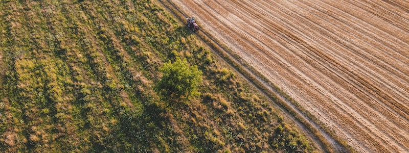 Las ayudas del PERTE Agroalimentario