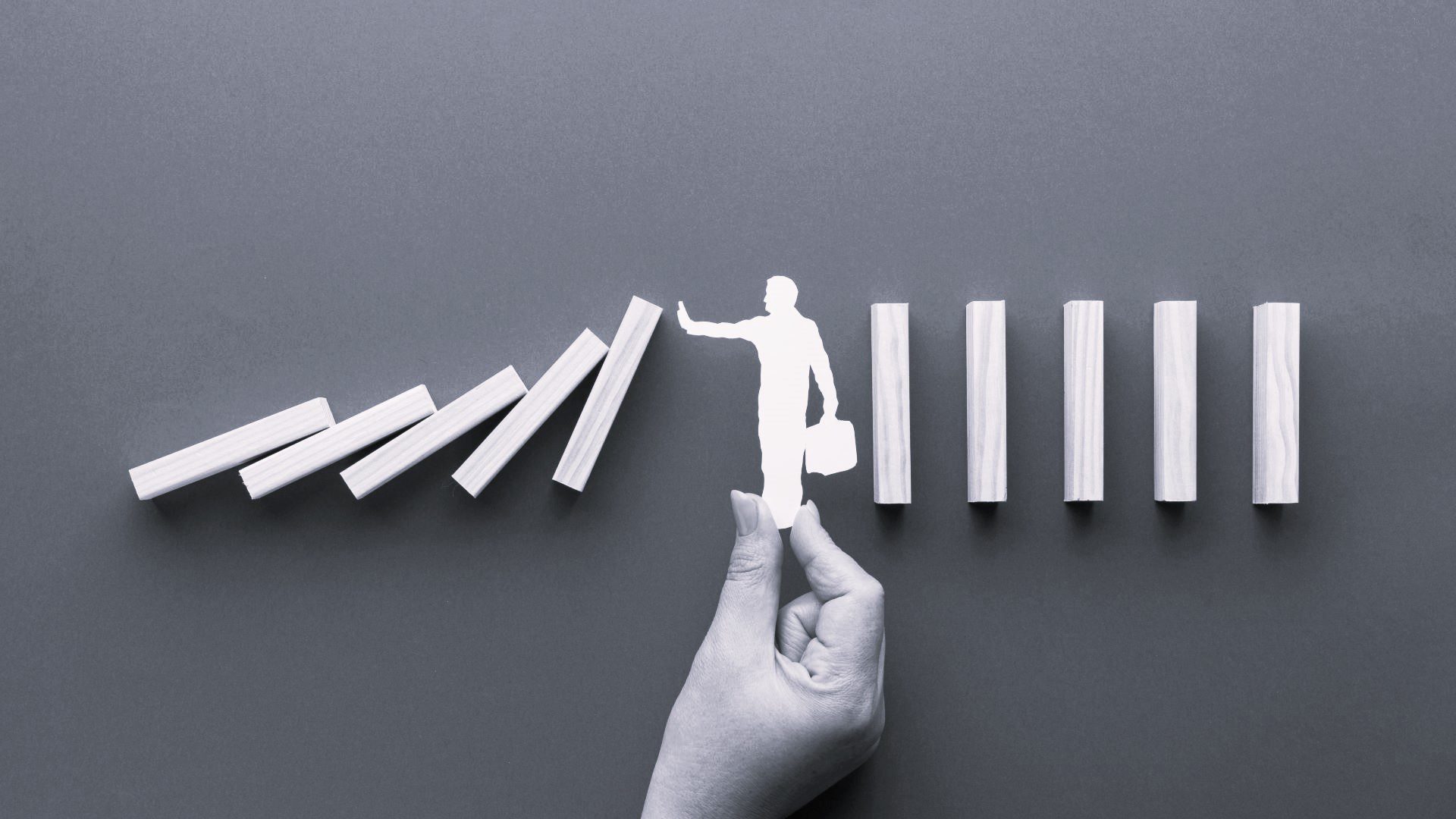 crisis Crisis & Co. Cómo gestionar la incertidumbre de nuestra época