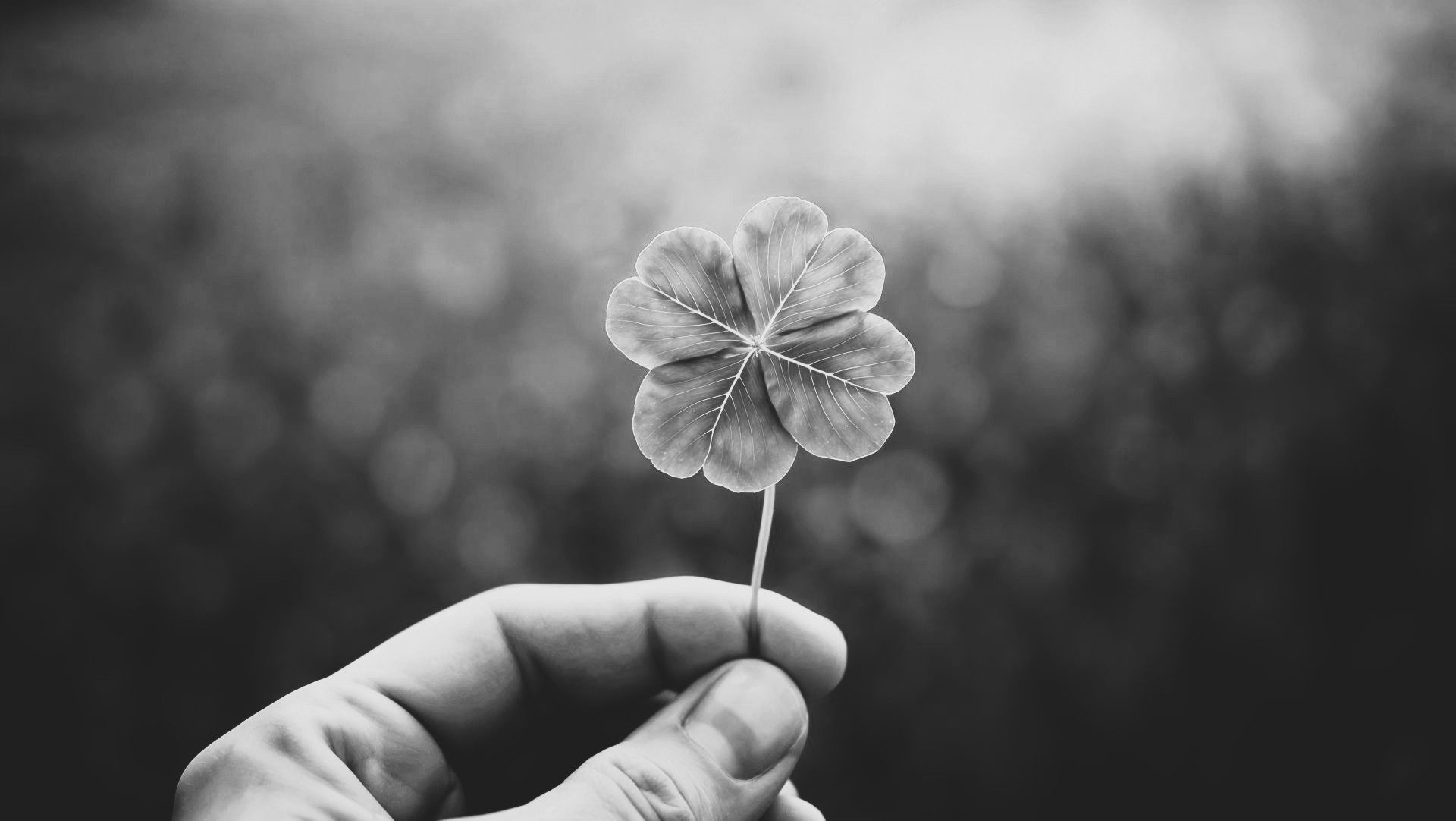 ¿Es la suerte el verdadero ascensor al puesto de CEO?