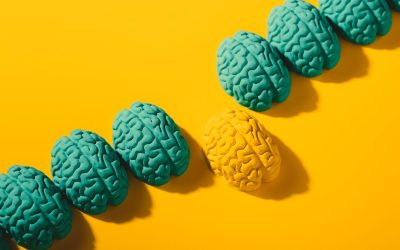 Entrenar el cerebro: la nueva frontera del liderazgo