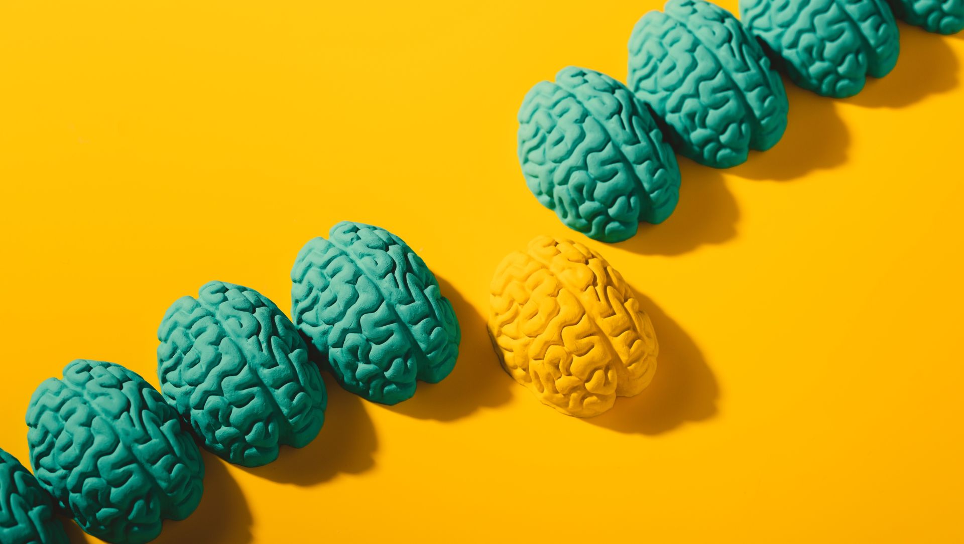 Entrenar el cerebro: la nueva frontera del liderazgo CEO