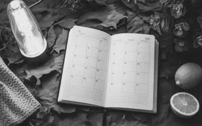 Noviembre: el mes donde la creatividad y el balance personal se cruzan