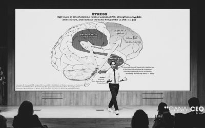 Leandro Fernández Macho: la inteligencia que decide cuando no hay certezas