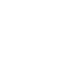 ilunion