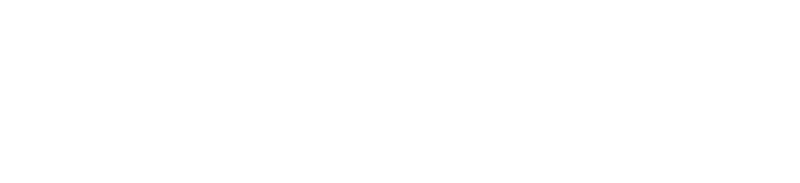 Empresas Canal CEO