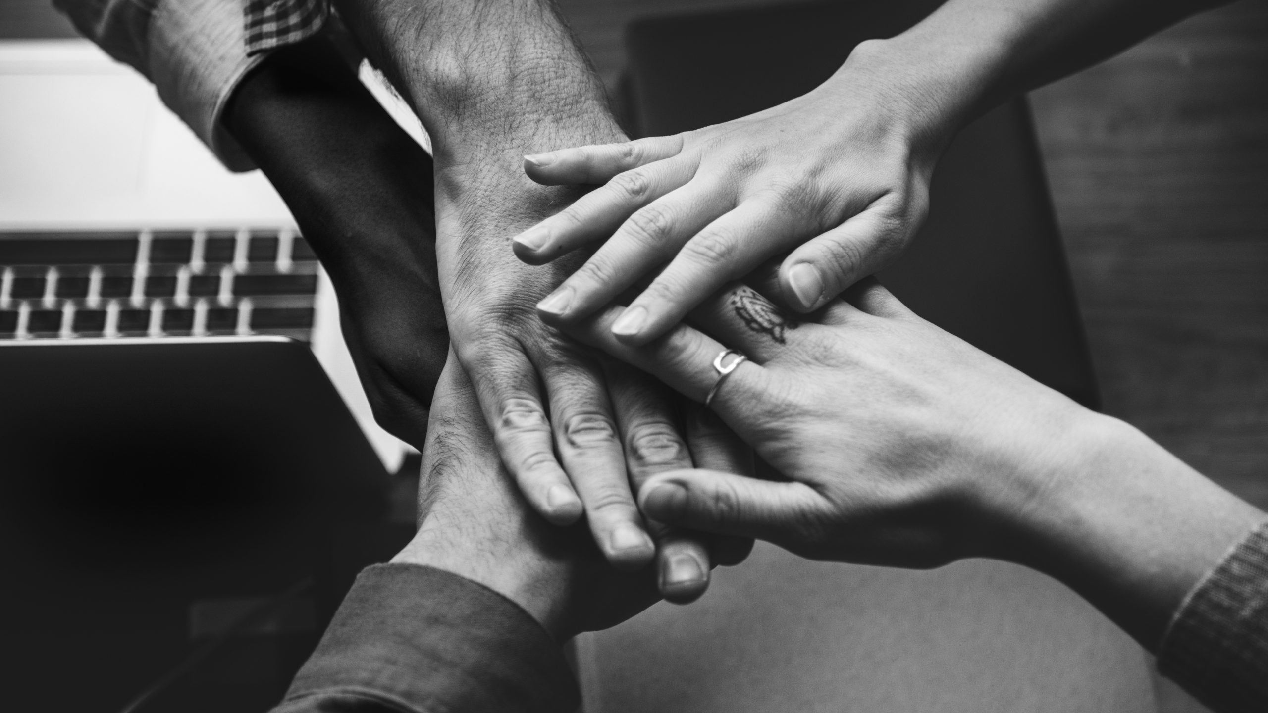 ¿Quién debe liderar la sostenibilidad en una empresa?